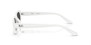 Ray-Ban RB4441D 677287 53 Güneş Gözlüğü