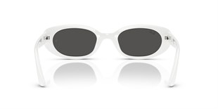 Ray-Ban RB4441D 677287 53 Güneş Gözlüğü