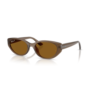 Ray-Ban RB4457D 677983 Güneş Gözlüğü