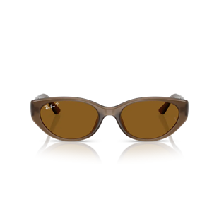 Ray-Ban RB4457D 677983 Güneş Gözlüğü