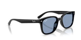 Ray-Ban RB4461D 601/80 Güneş Gözlüğü