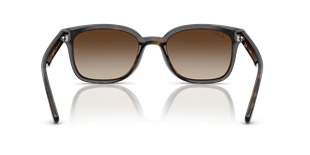 Ray-Ban RB4461D 710/13 64 Güneş Gözlüğü