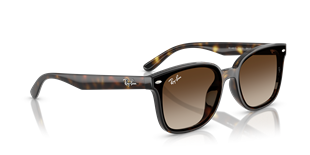 Ray-Ban RB4461D 710/13 64 Güneş Gözlüğü