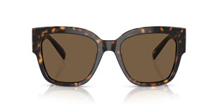 Versace VE4437U 108/73 54 Güneş Gözlüğü