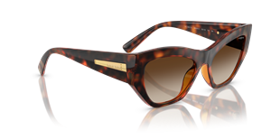 Vogue VO5607S W65613 Kadın Güneş Gözlüğü
