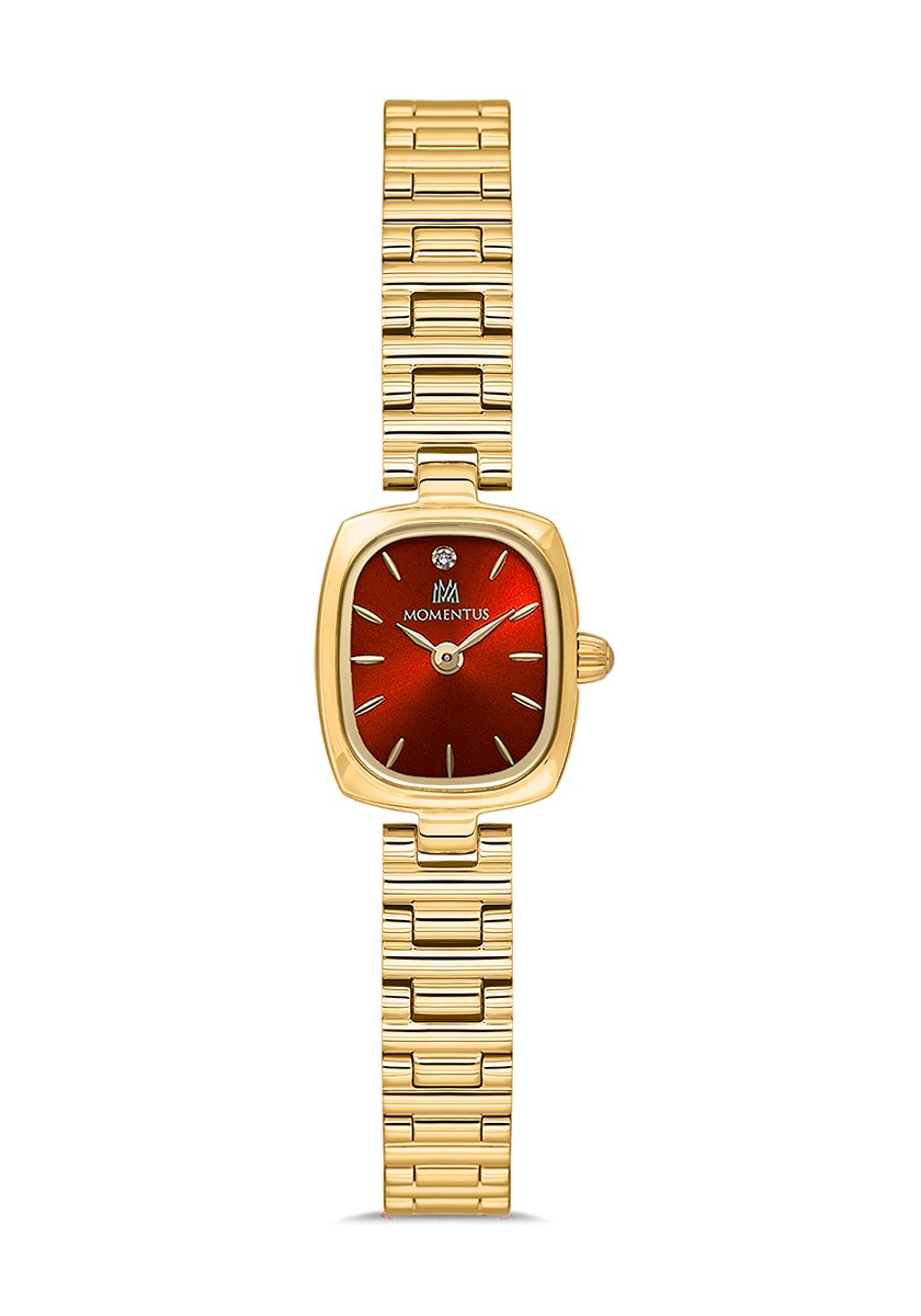 Momentus CW317G-14SG Kol Saati
