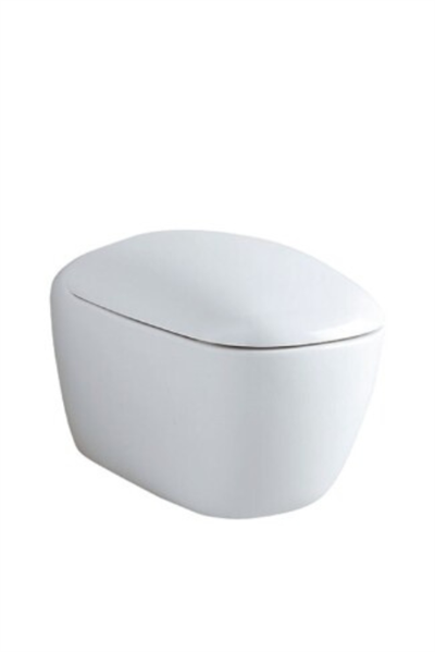 Geberit Citterio Rimfree Asma Klozet