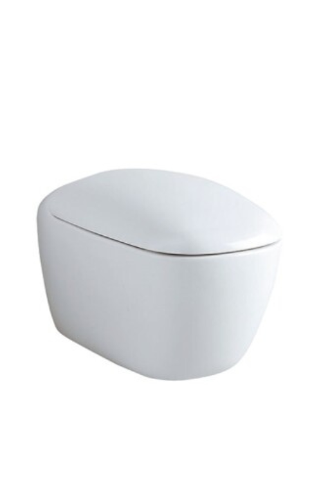 Geberit Citterio Rimfree Asma Klozet