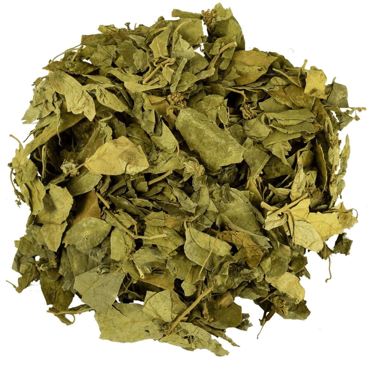 Cinnema Bitkisi (Gurmar Otu) 1 kg