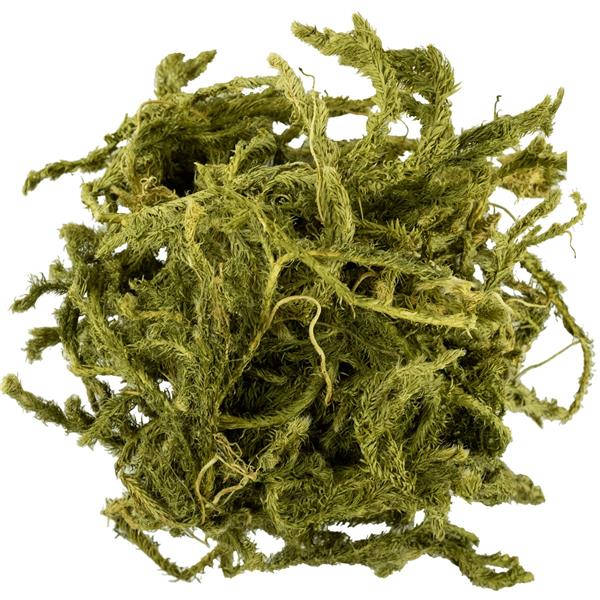 Kurt Pencesi 1 kg