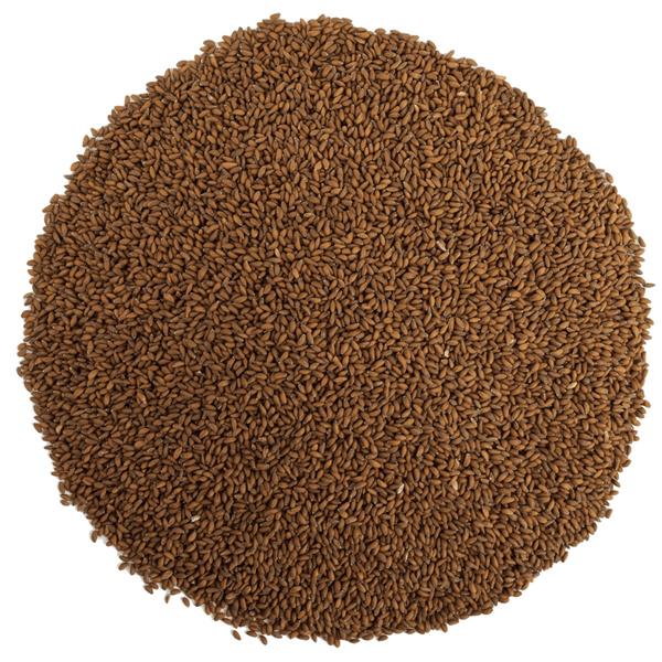 Tere Tohumu 1 kg