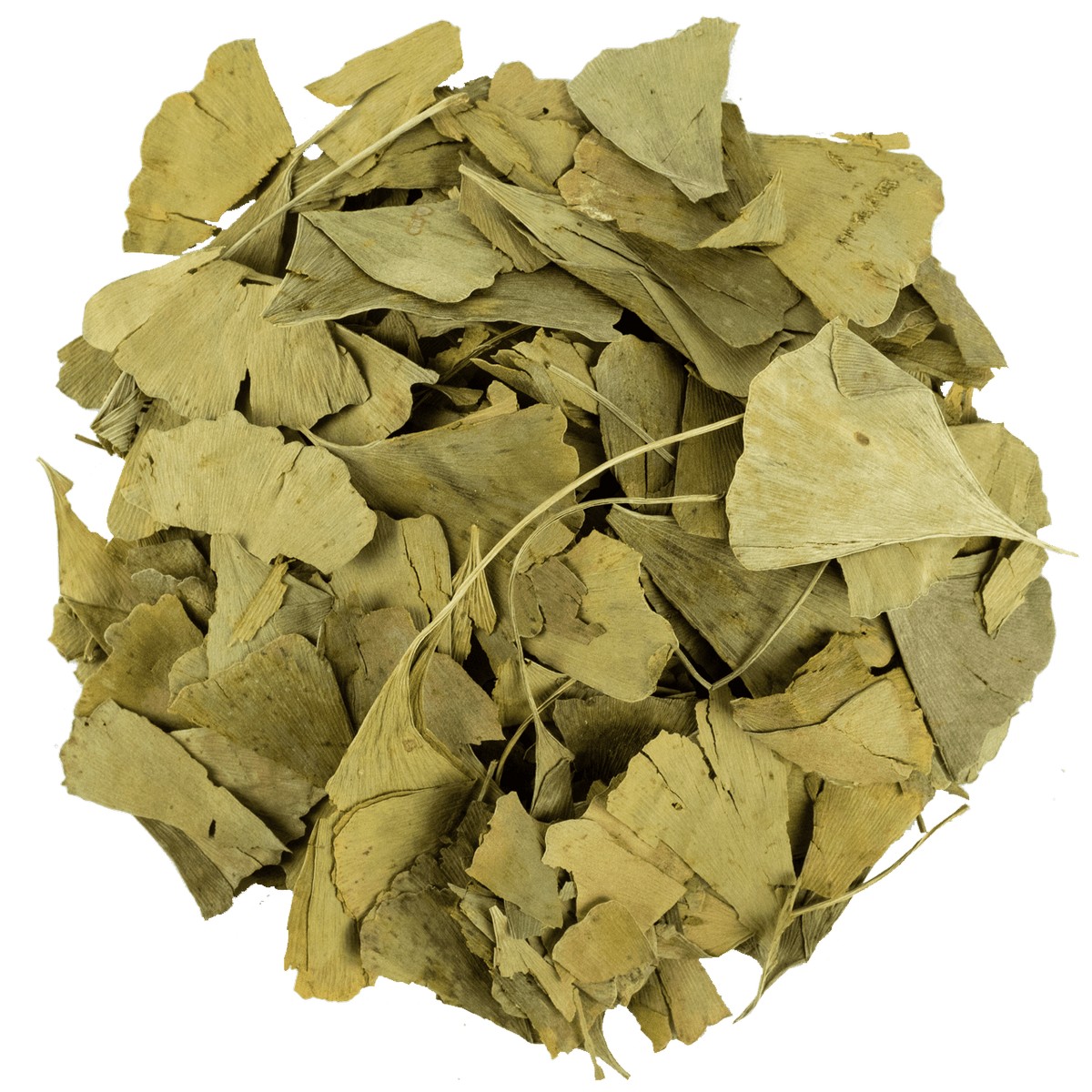 Ginkgo Biloba (Mabet Ağacı) 1 kg