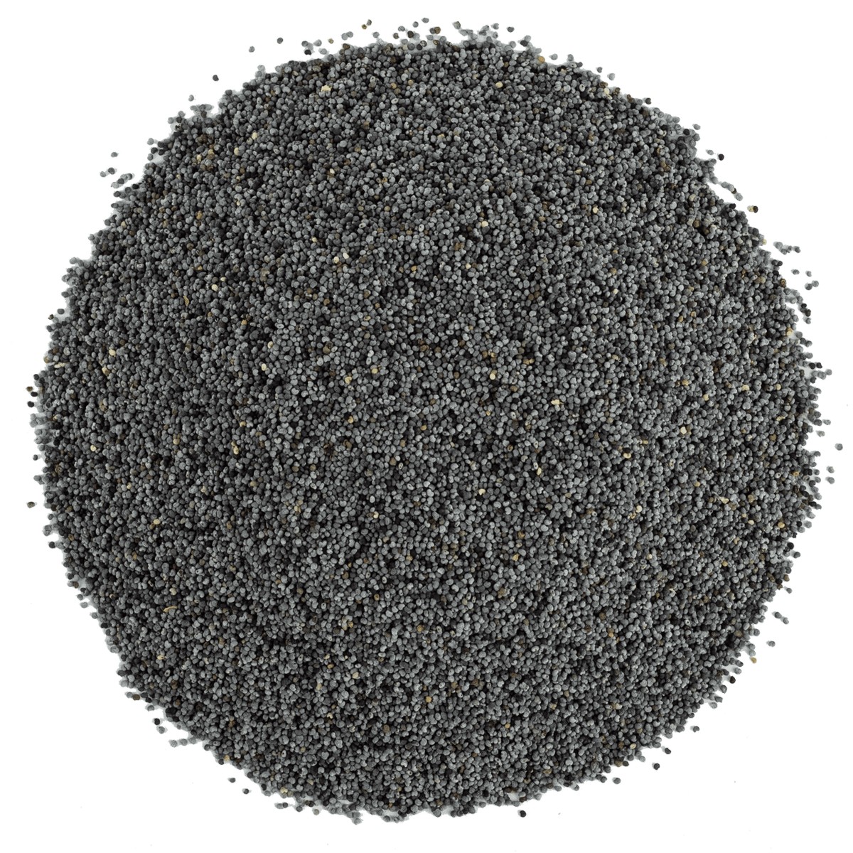 Mavi Haşhaş Tohumu 1 kg