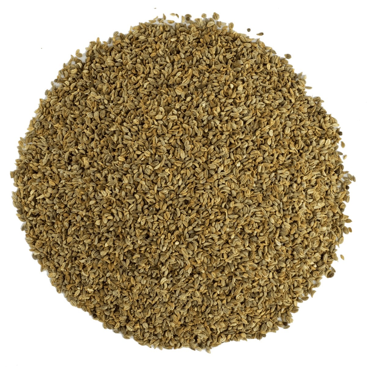 Maydanoz Tohumu 1 kg