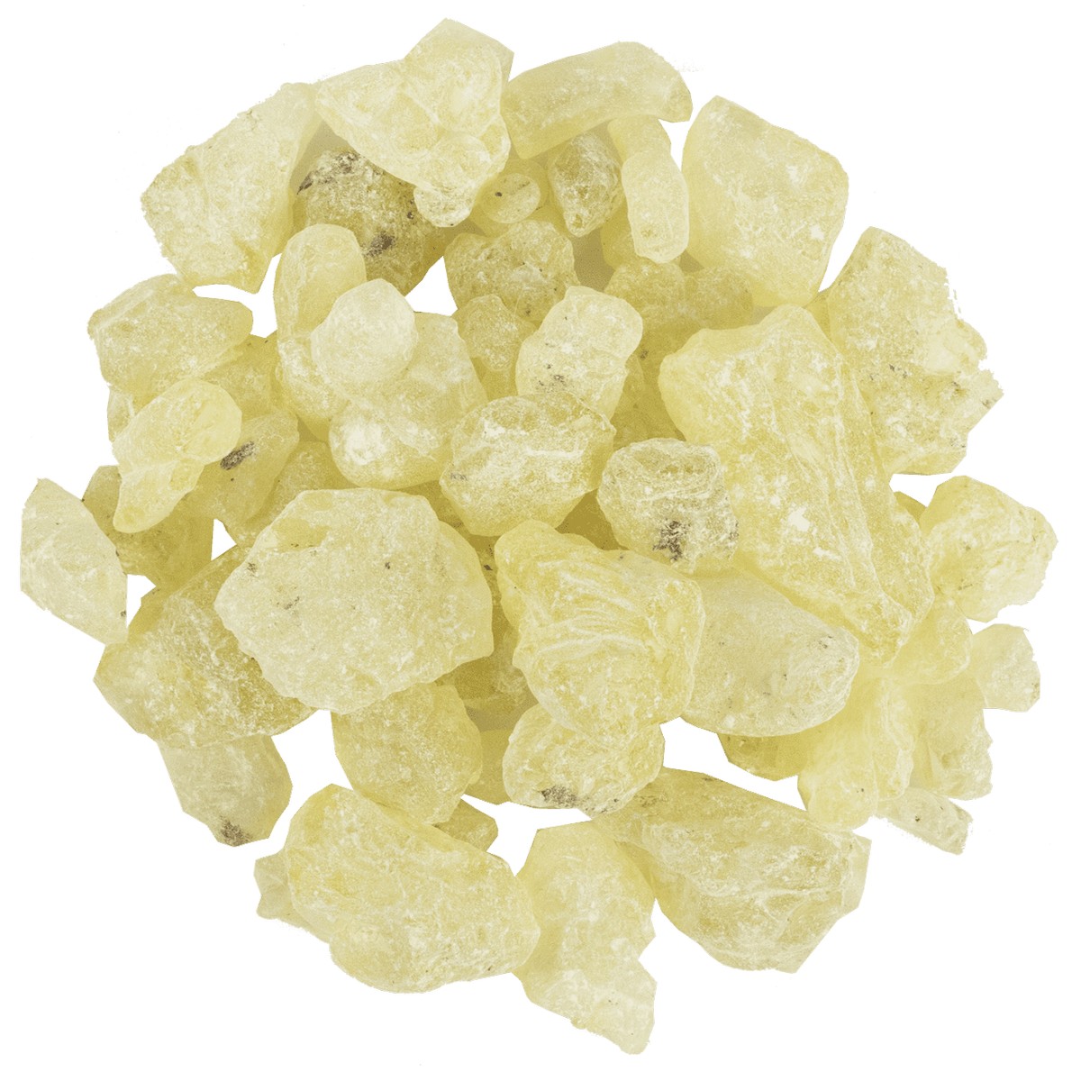 Sandaloz Sakızı 1 kg