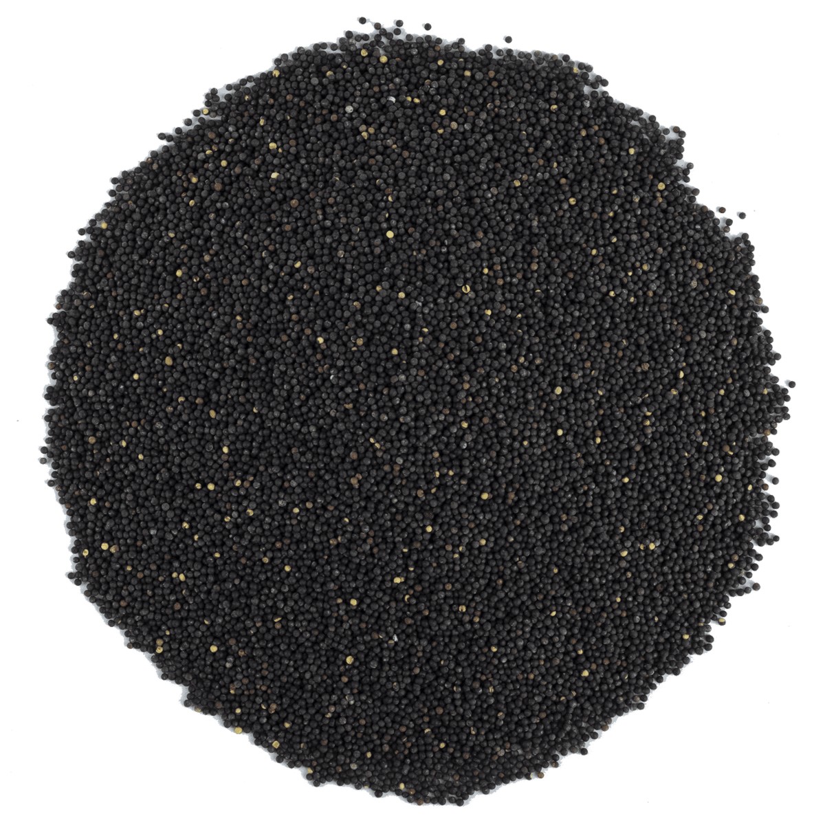 Siyah Hardal Tohumu 1 kg