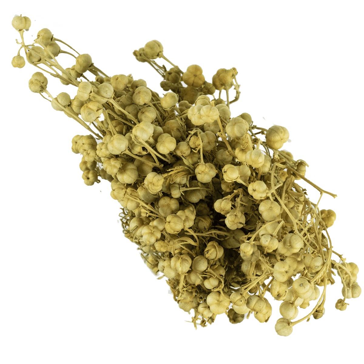 Uzerlik (Demet) 1 Adet