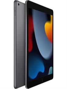 Apple iPad 9.Nesil 256GB  10.2