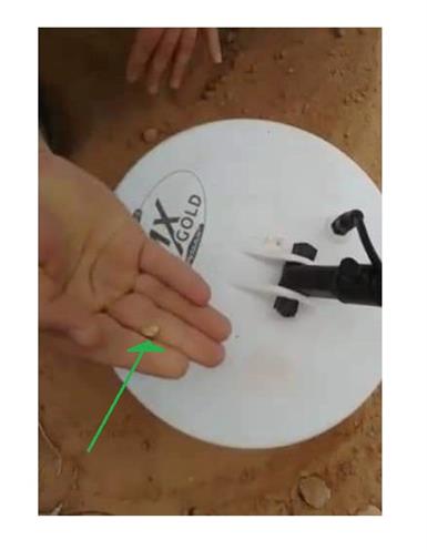 PMX Gold Profesyonel Altın ve Define Dedektörü - Temel Paket