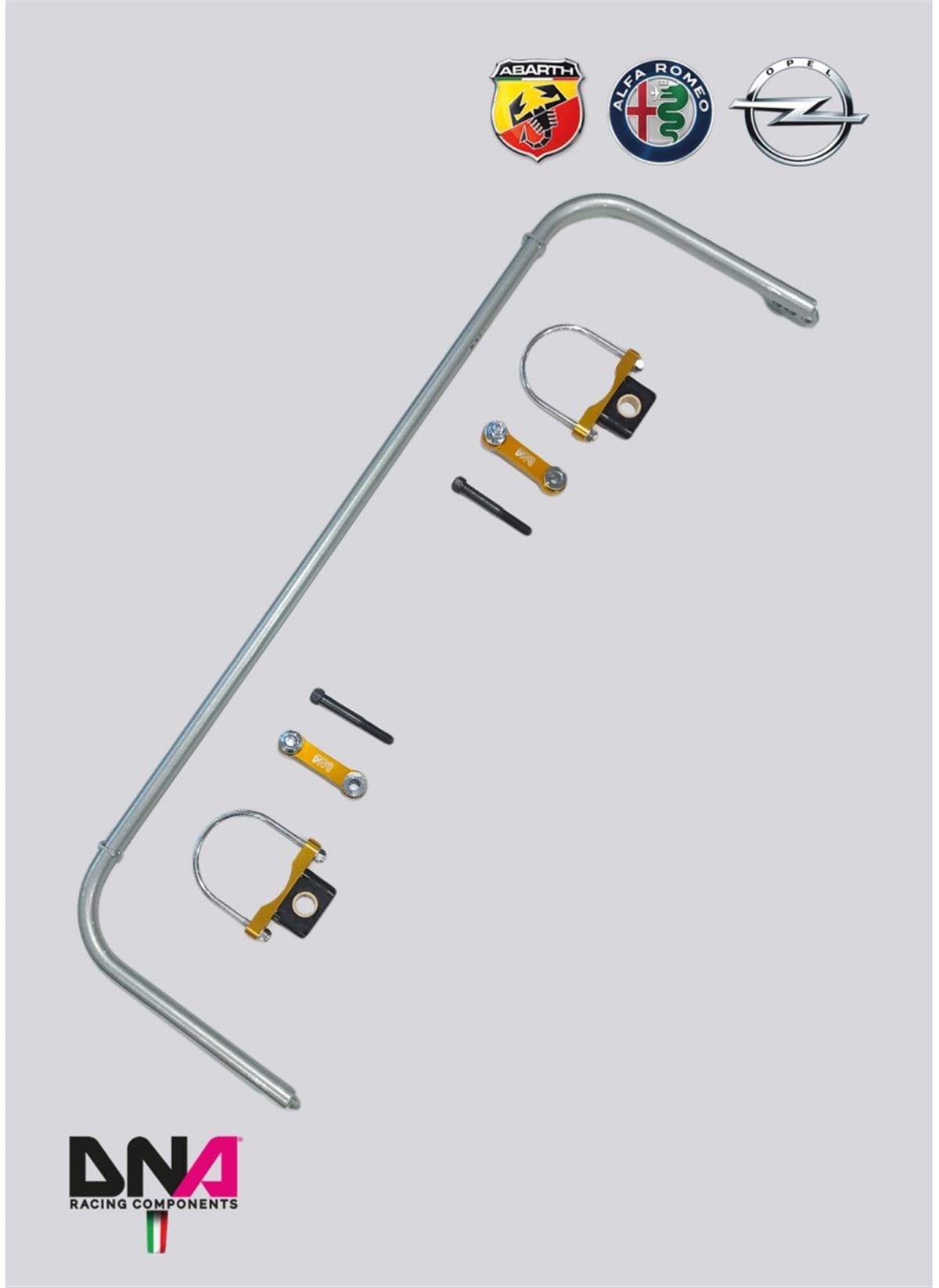 Alfa Romeo Mito Rear Adj Torsion Bar Kit ( Pc0167 )