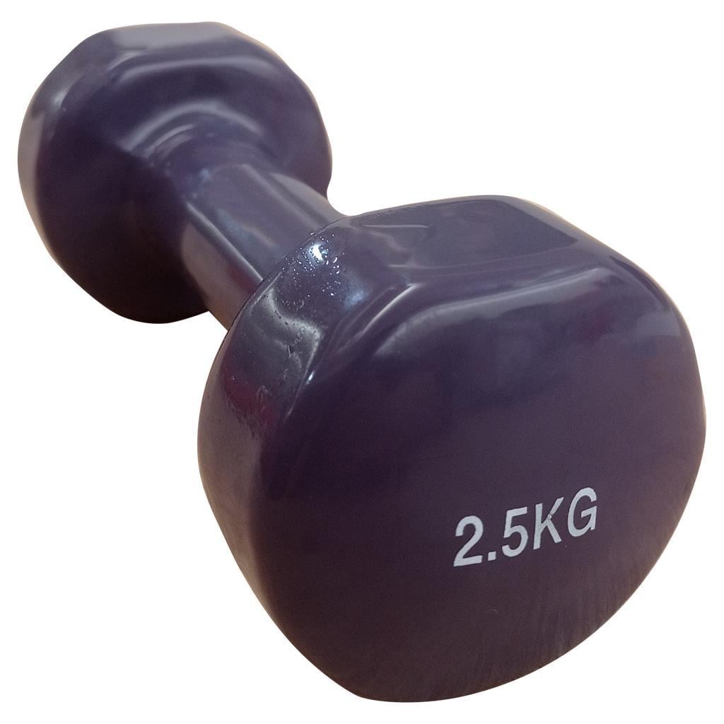 DragonDo Vinyl Dambıl 2,5 Kg Tek