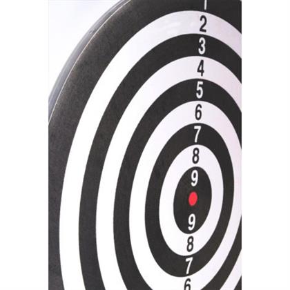 Delta Dart Seti 38 cm (15 İnç) + 6 Dart Oku (6 Gr) Hedef Tahtası SDE159