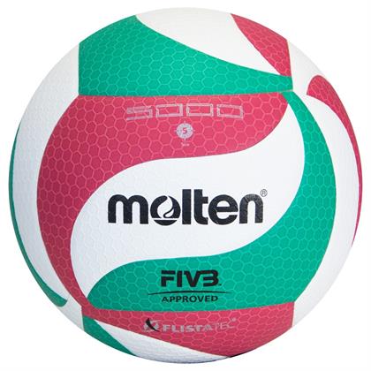 Molten V5M5000 FIVB Onaylı Yapıştırma 5 No Voleybol Maç Topu