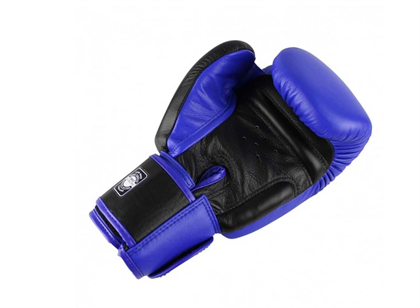 Twins BGVL3-2T Boks Eldiveni mavi Muay Thai Eldiveni 