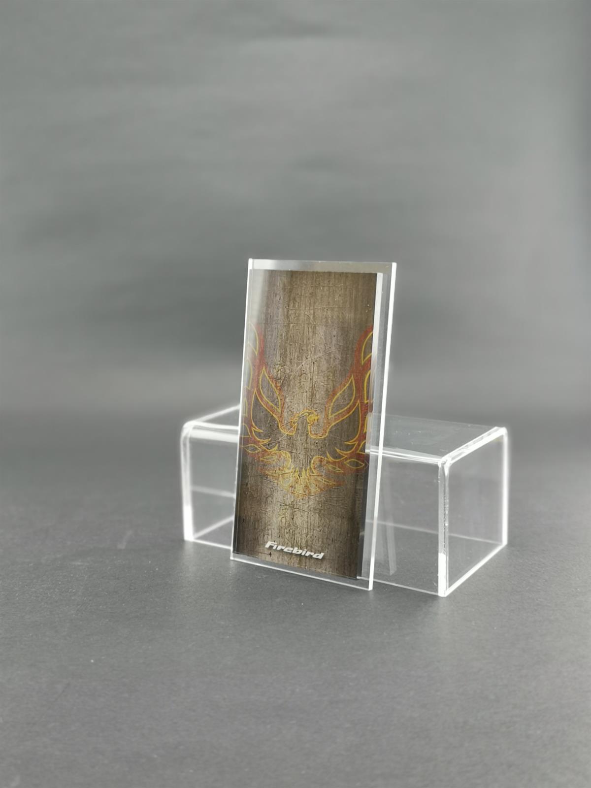 Premium Model Case Firebird Logo