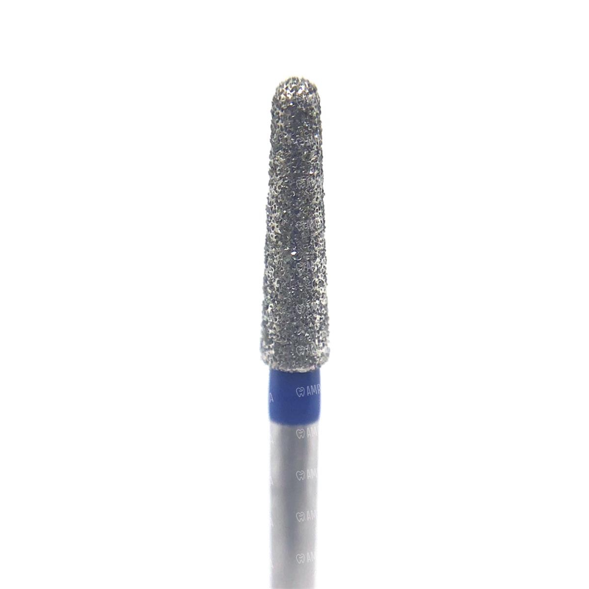 ASİDENTD+Z ECOLİNEE856M.313.018 E856