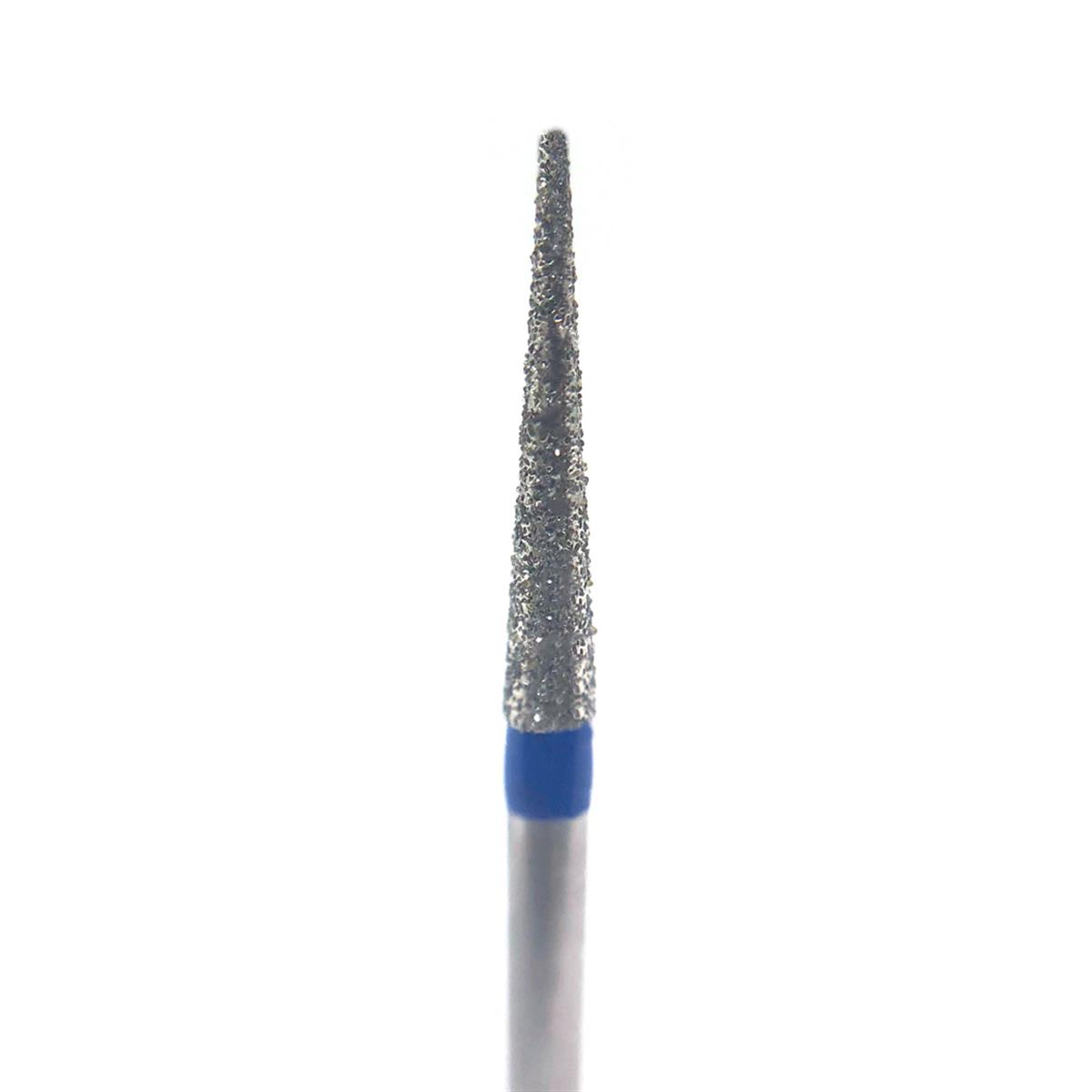 ASİDENTD+Z ECOLİNEE858C.314.014 E858