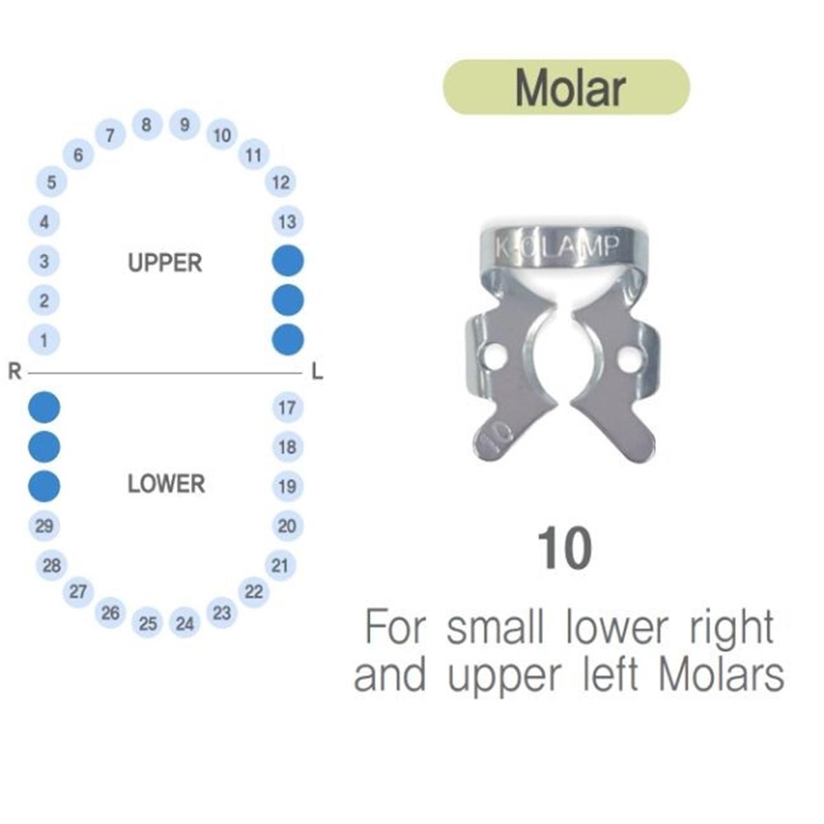 ASİDENTK-CLAMP#10SHINGHUNG K-CLAMP (ADET) 10 (ALT SAĞ-ÜST SOL MOLAR)