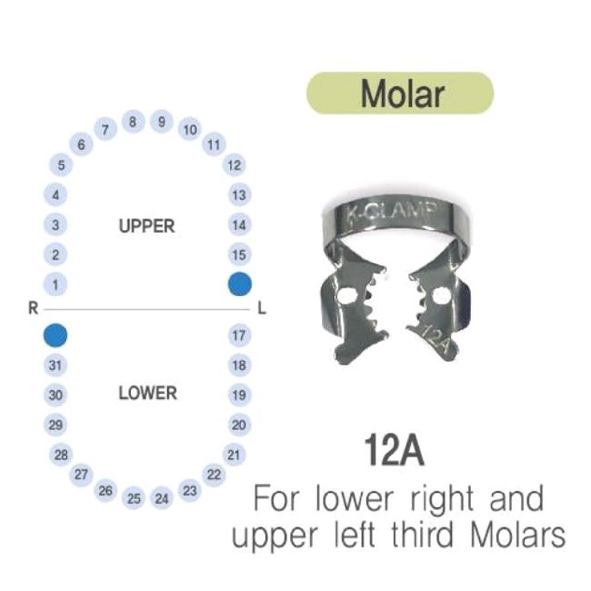 ASİDENTK-CLAMP#12ASHINGHUNG K-CLAMP (ADET) 12A TIGER DİŞLİ (ALT SAĞ-ÜST SOL MOLAR)