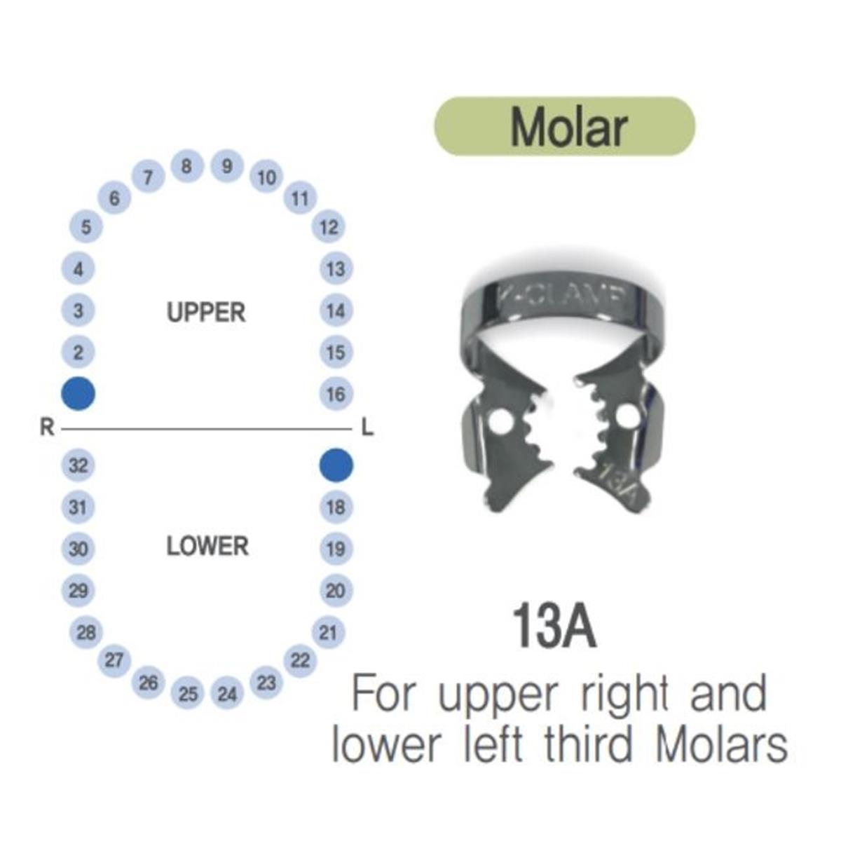 ASİDENTK-CLAMP#13ASHINGHUNG K-CLAMP (ADET) 13A TIGER DİŞLİ (ALT SOL-ÜST SAĞ MOLAR)