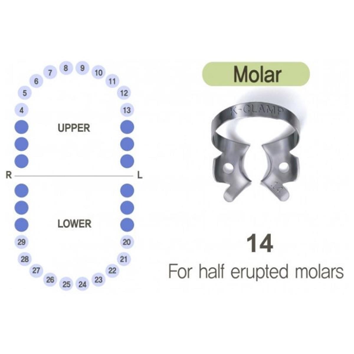 ASİDENTK-CLAMP#14SHINGHUNG K-CLAMP (ADET) 14 (ALT-ÜST/SAĞ-SOL MOLAR)