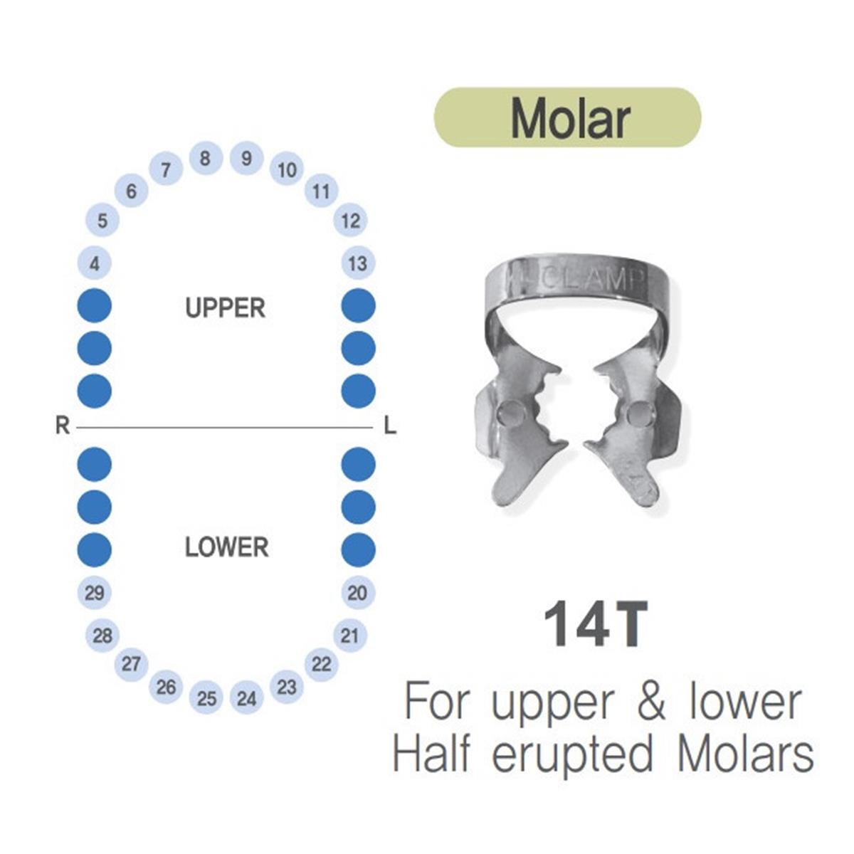 ASİDENTK-CLAMP#14TSHINGHUNG K-CLAMP (ADET) 14T TIGER DİŞLİ (ALT-ÜST/SAĞ-SOL MOLAR)
