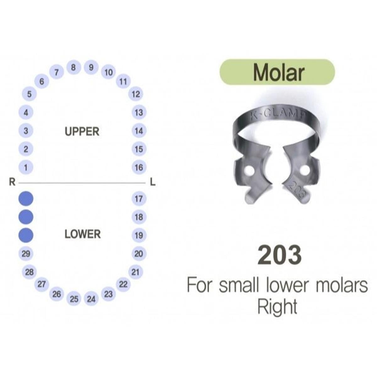 ASİDENTK-CLAMP#203SHINGHUNG K-CLAMP (ADET) 203 (ALT MOLAR KÜÇÜK SAĞ)