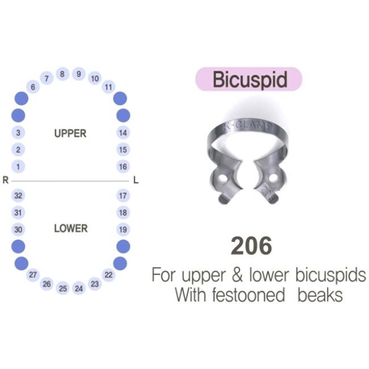 ASİDENTK-CLAMP#206SHINGHUNG K-CLAMP (ADET) 206 (ALT-ÜST PREMOLAR SAĞ-SOL)