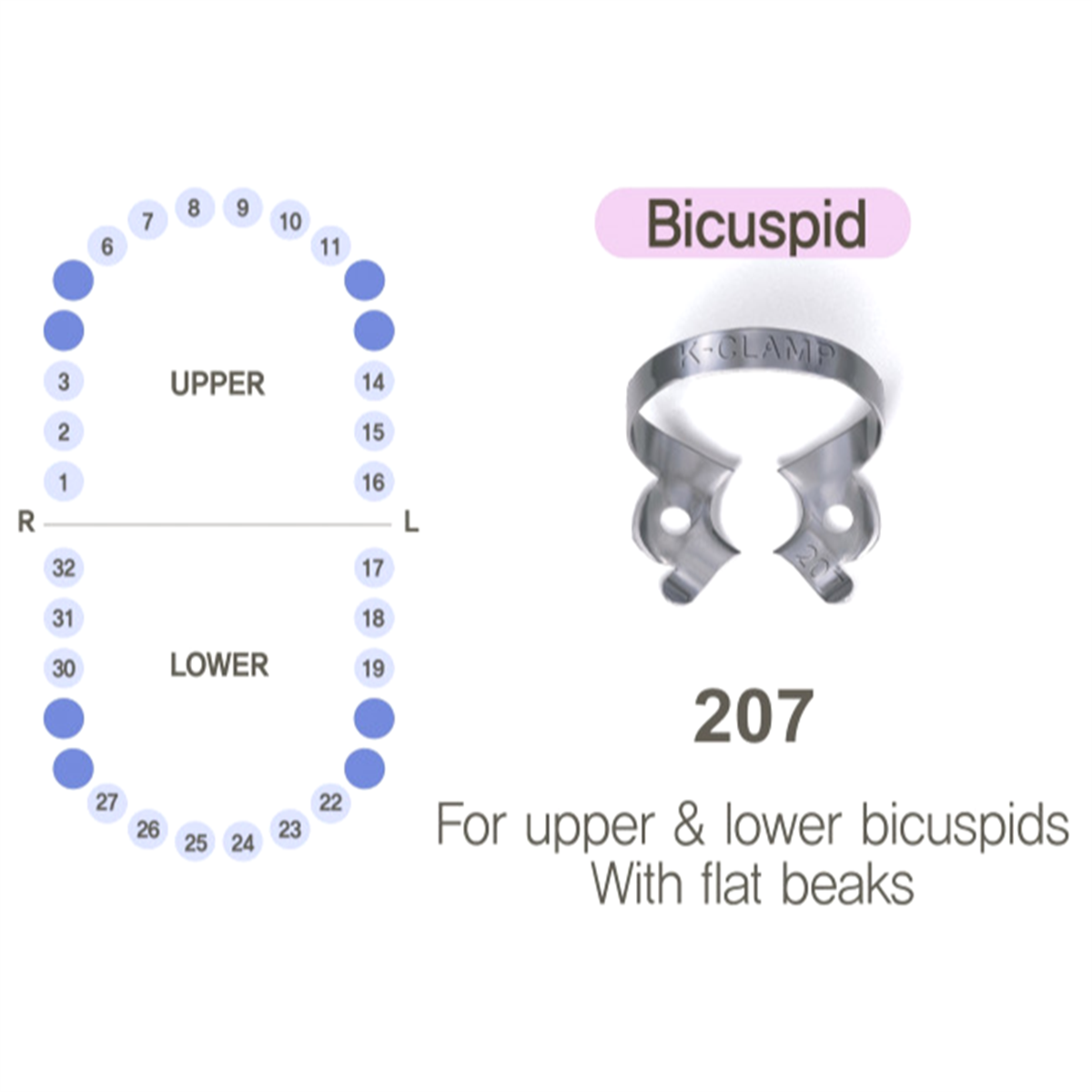ASİDENTK-CLAMP#207SHINGHUNG K-CLAMP (ADET) 207 (ALT-ÜST PREMOLAR SAĞ-SOL)
