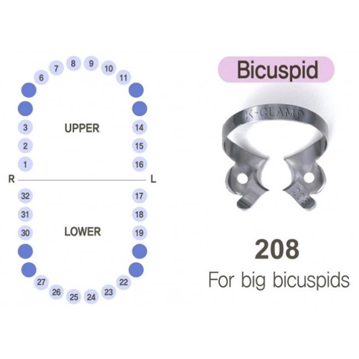 ASİDENTK-CLAMP#208SHINGHUNG K-CLAMP (ADET) 208 (ALT-ÜST PREMOLAR BÜYÜK SAĞ-SOL)
