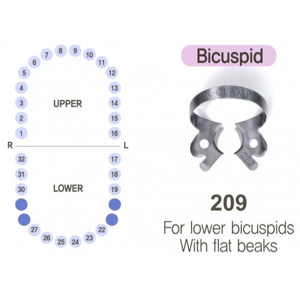 ASİDENTK-CLAMP#209SHINGHUNG K-CLAMP (ADET) 209 (ALT PREMOLAR SAĞ-SOL)
