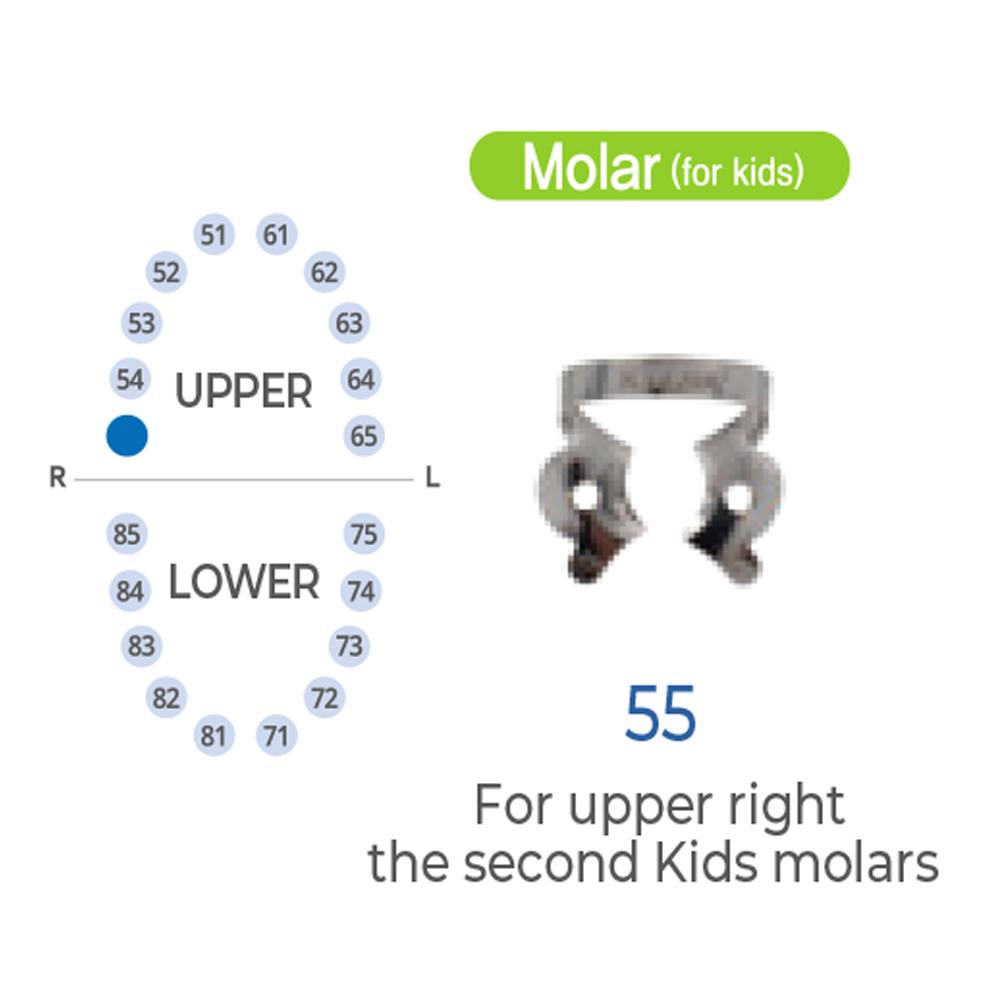 ASİDENTK-CLAMP#55SHINGHUNG K-CLAMP (ADET) #55 PEDO ÇOCUK MATT (ÜST SAĞ MOLAR)
