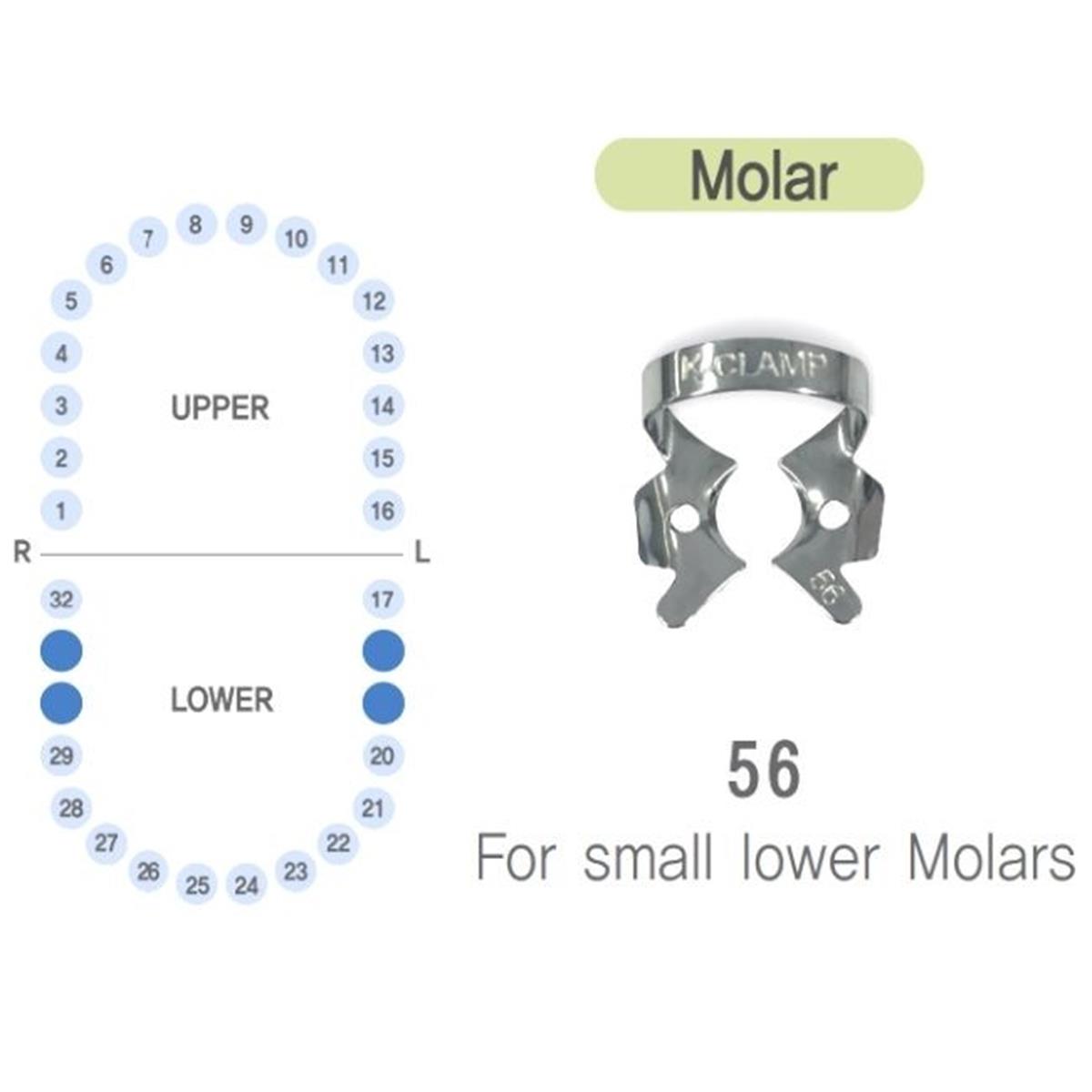 ASİDENTK-CLAMP#56SHINGHUNG K-CLAMP (ADET) 56 (ALT SAĞ-SOL KÜÇÜK MOLAR)