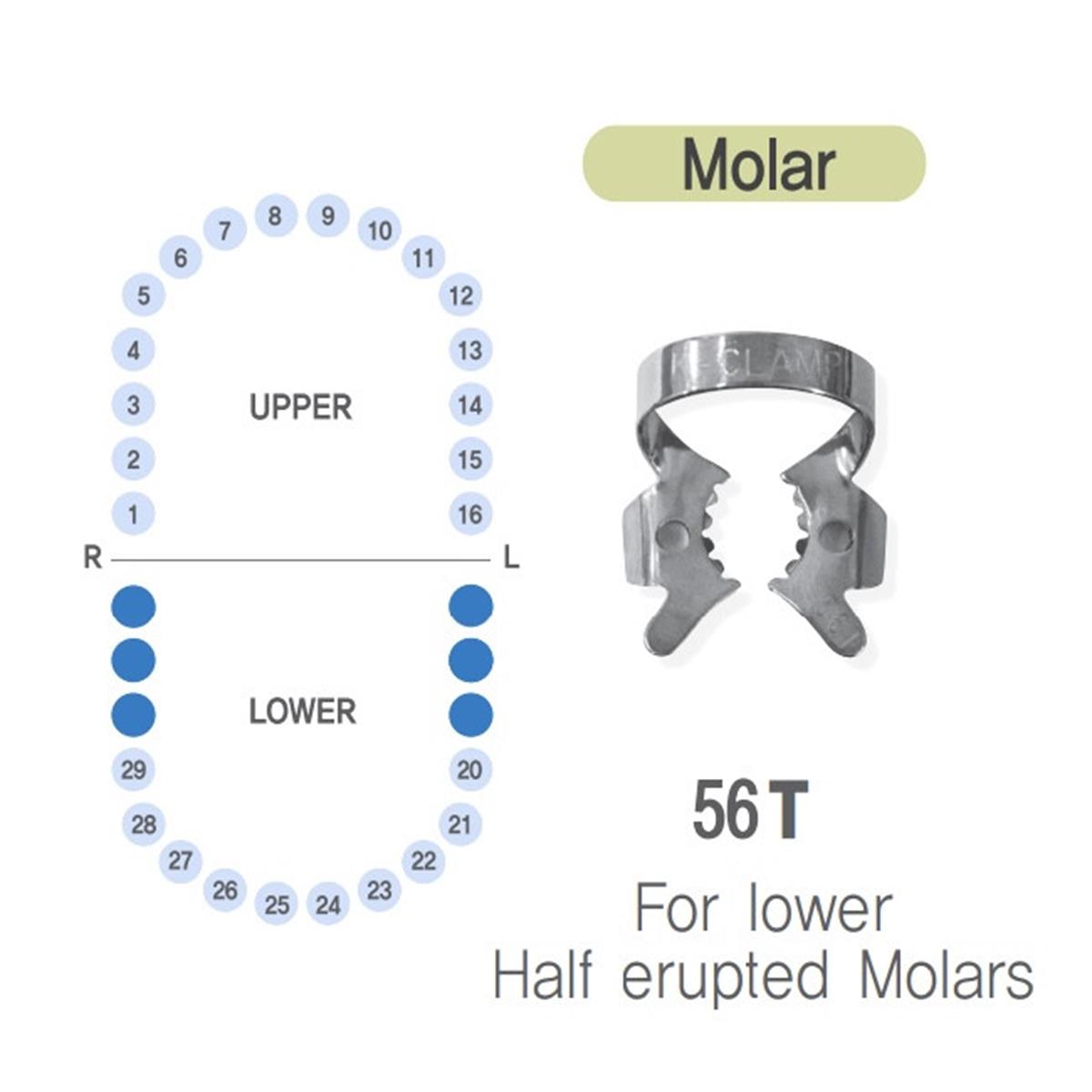 ASİDENTK-CLAMP#56TSHINGHUNG K-CLAMP (ADET) 56T TIGER DİŞLİ (ALTSAĞ-SOL MOLAR)