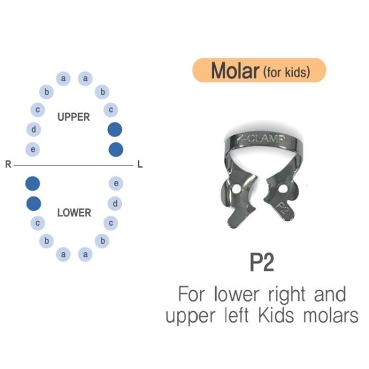 ASİDENTK-CLAMP#P2SHINGHUNG K-CLAMP (ADET) P2 PEDO ÇOCUK (ALT SAĞ-ÜST SOL MOLAR)