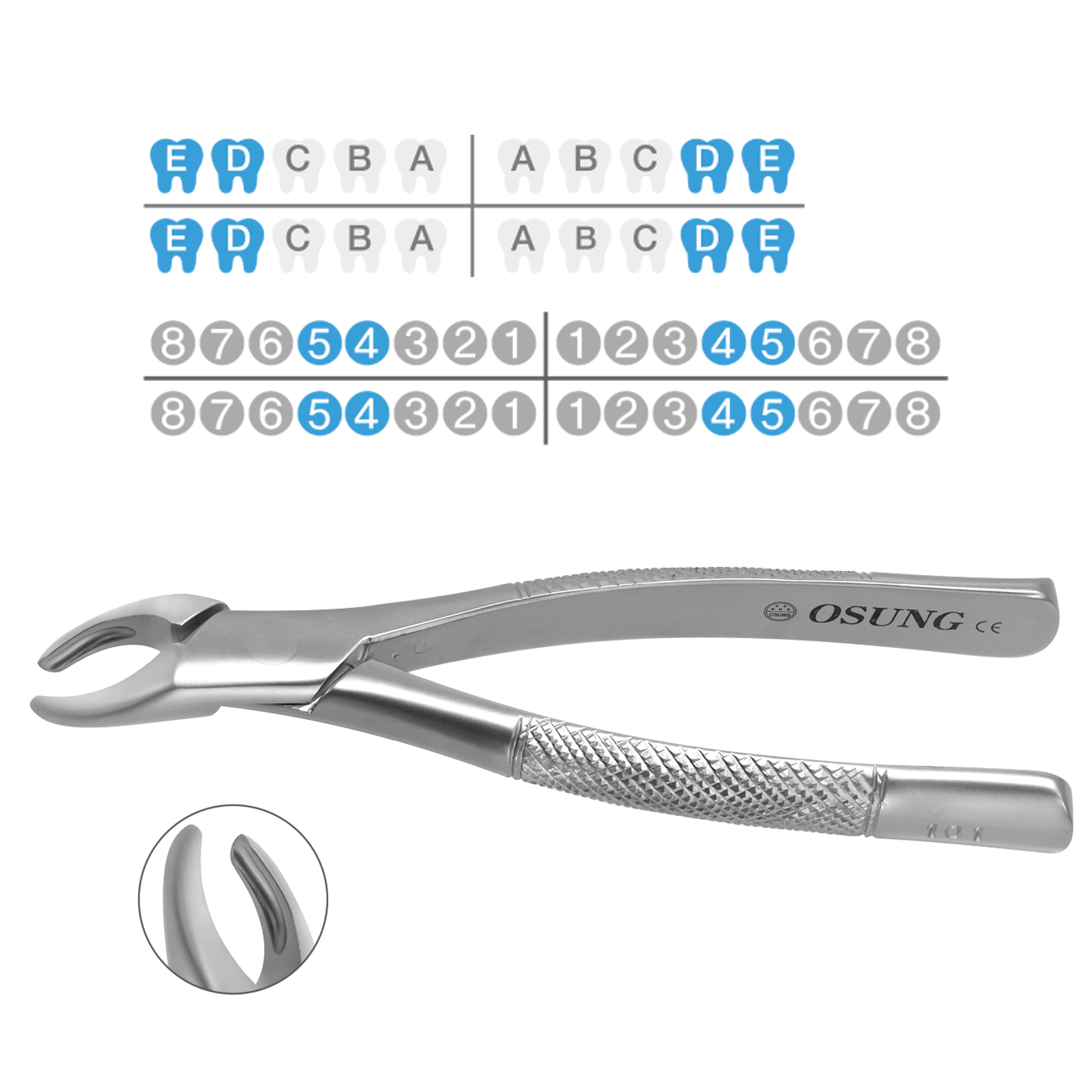 ASİDENTOSUNG(FX101)(FX101) Extraction Forcep DAVYE - ÇOCUK AMERİKAN TİP