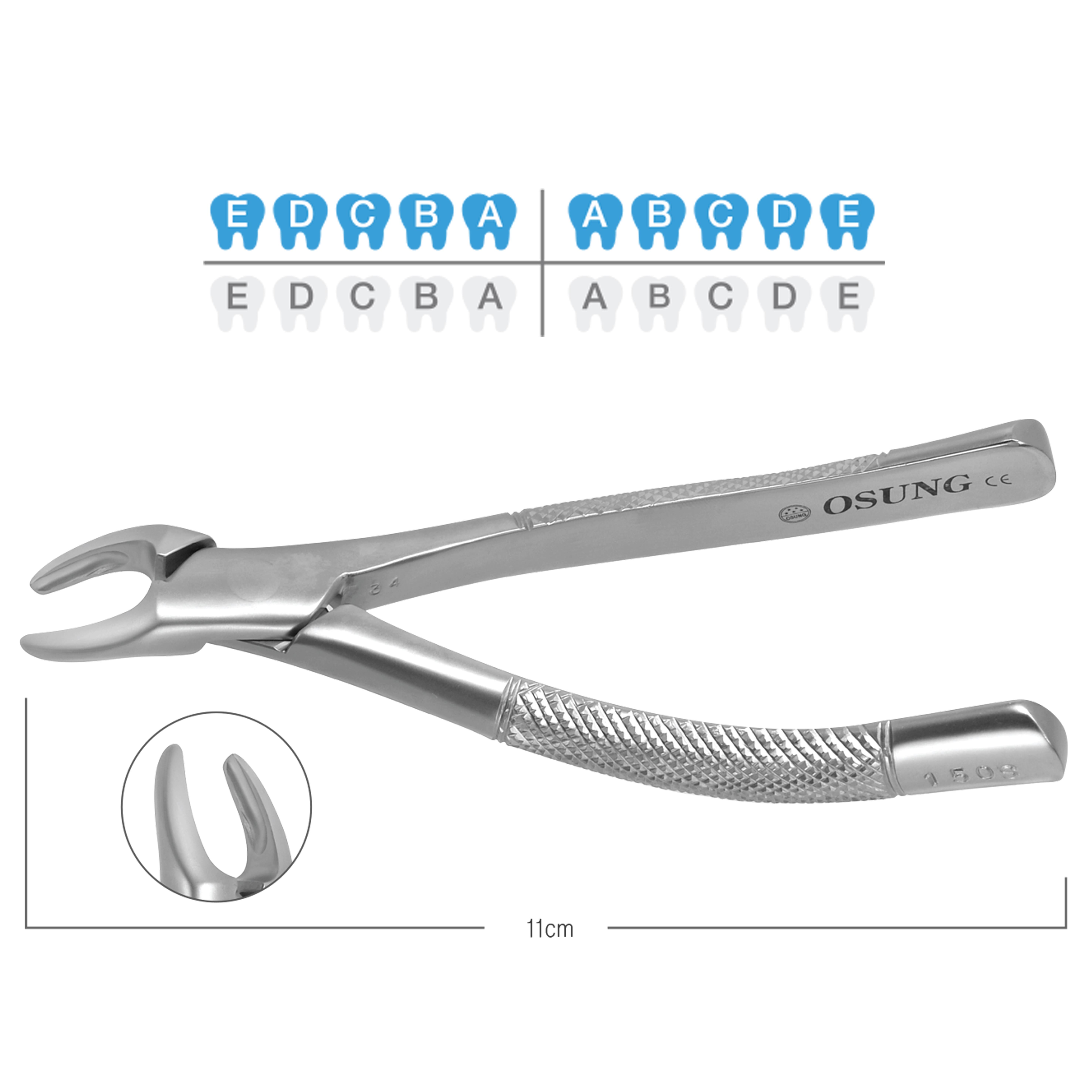 ASİDENTOSUNG(FX150S)(FX150S) Extraction Forcep DAVYE - ÇOCUK AMERİKAN TİP