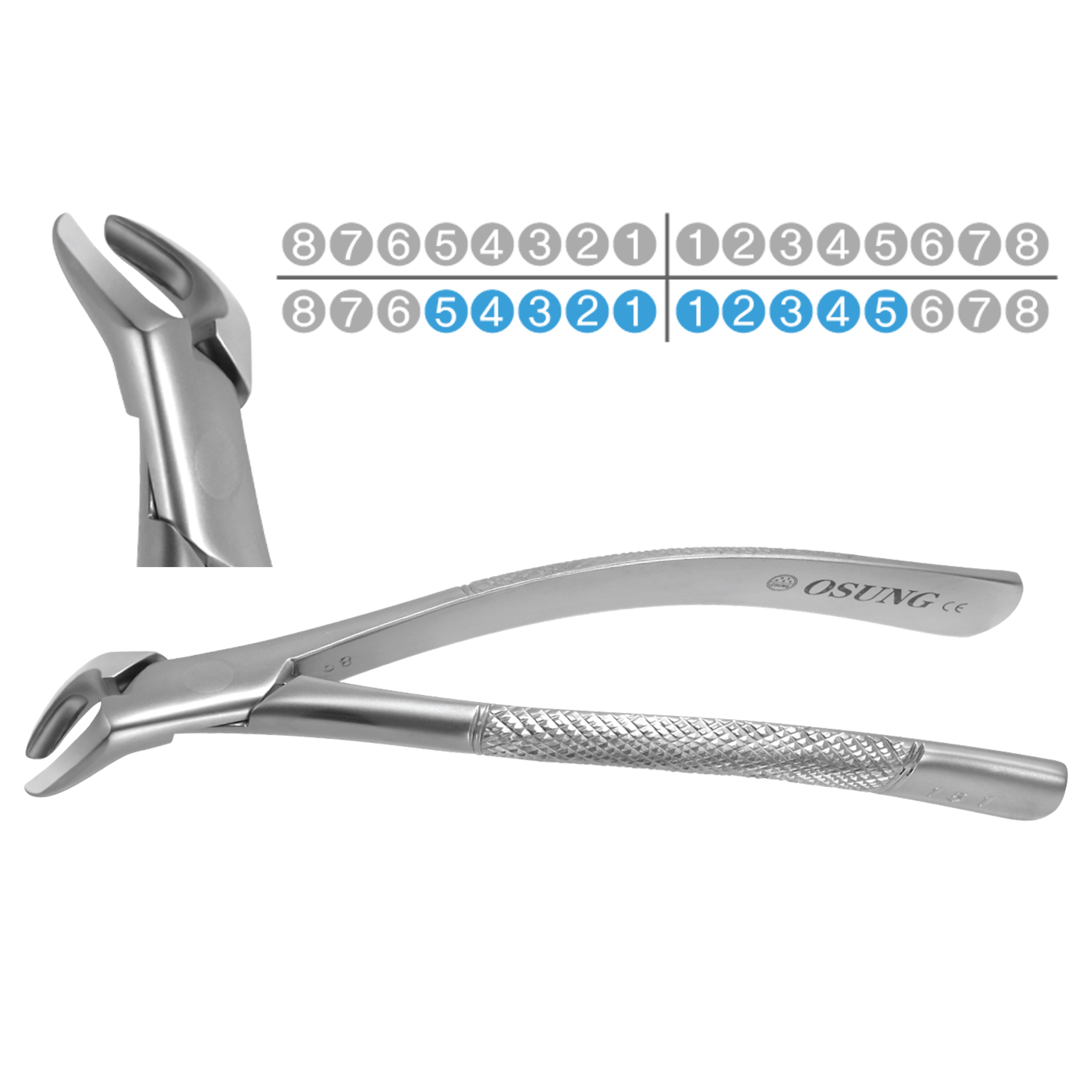 ASİDENTOSUNG(FX151)(FX151) Extraction Forcep DAVYE YETİŞKİN AMERİKAN TİP