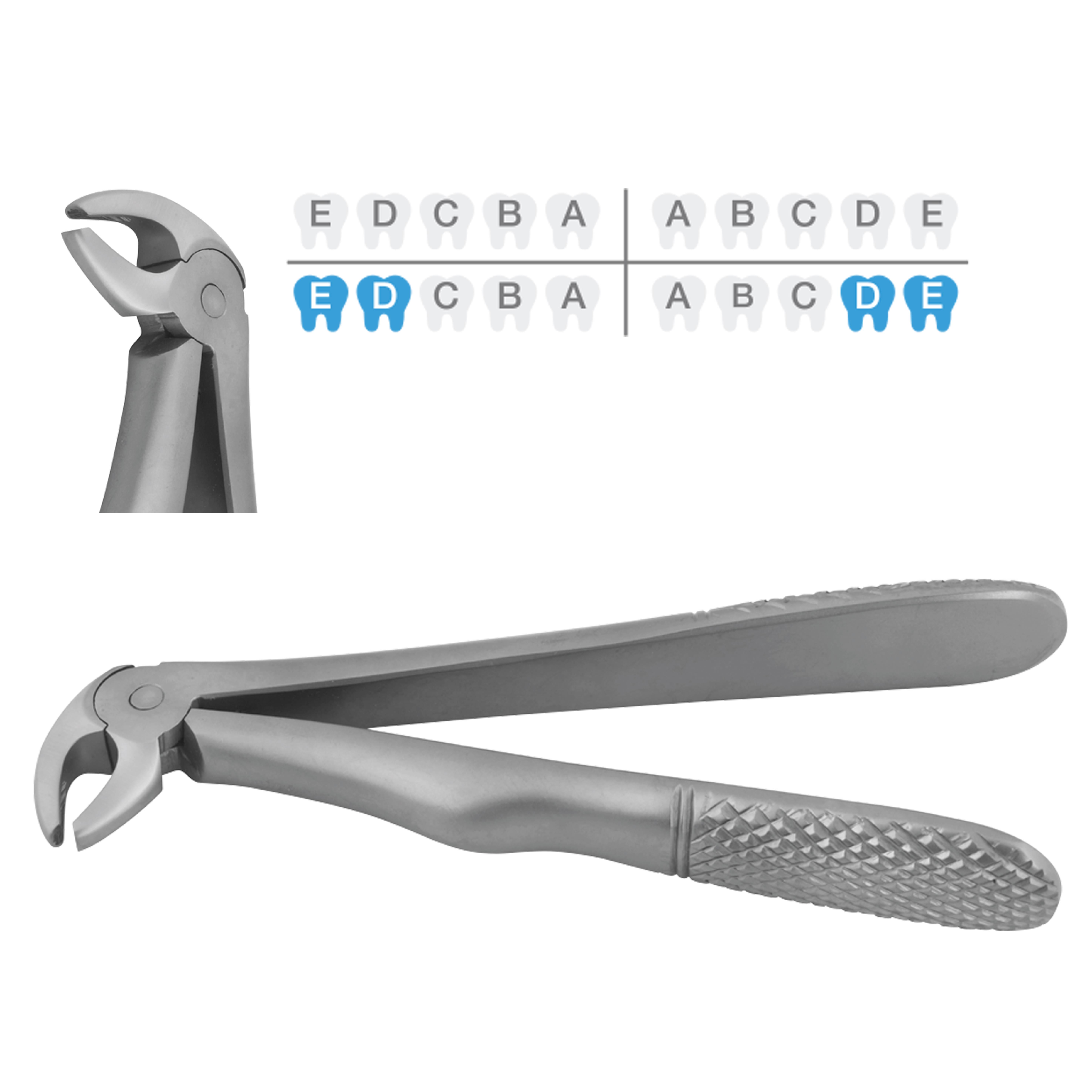 ASİDENTOSUNG(FXX13C)(FXX13C) Extraction Forcep DAVYE - ÇOCUK ALT MOLAR
