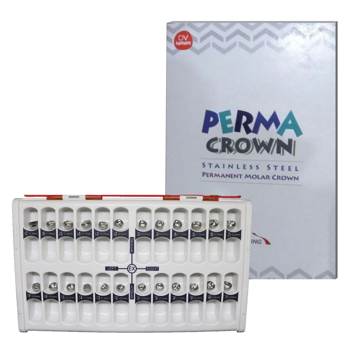 ASİDENTPERMA CROWNMOLAR DAİMİ DİŞİSHINHUNG PASLANMAZ ÇELİK KRON MOLAR DAİMİ DİŞİ PERMA CROWN KIT (48 ADET)